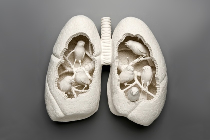 Kate MacDowell "Canary 3"